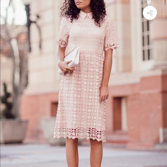 Collared Lace Dress - Picture 3 of 3